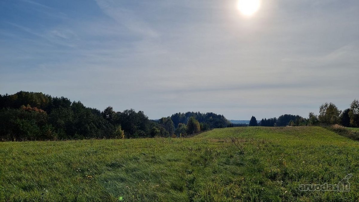 Parduodama sodyba su 1,8 ha sklypu Ukmergės r - nuotraukos Nr. 6