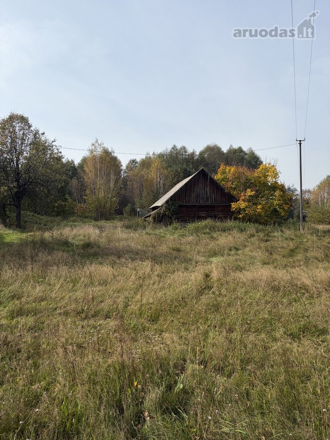 Parduodama jauki sodyba gamtos apsuptyje - nuotraukos Nr. 3