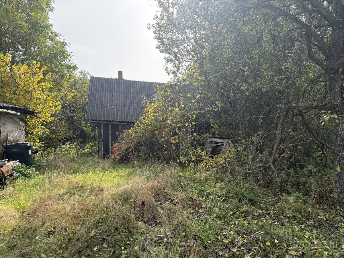 Parduodama jauki sodyba gamtos apsuptyje - nuotraukos Nr. 6