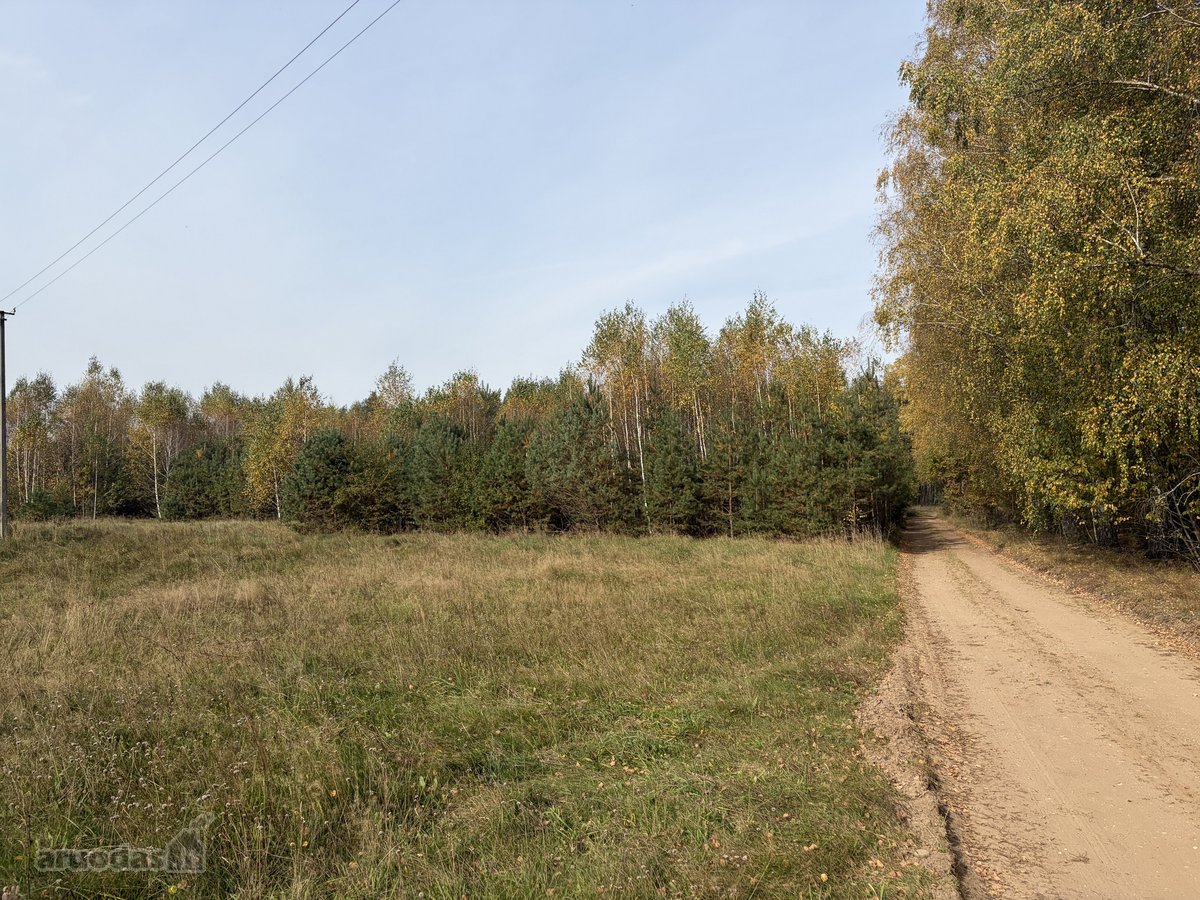 Parduodama jauki sodyba gamtos apsuptyje - nuotraukos Nr. 9
