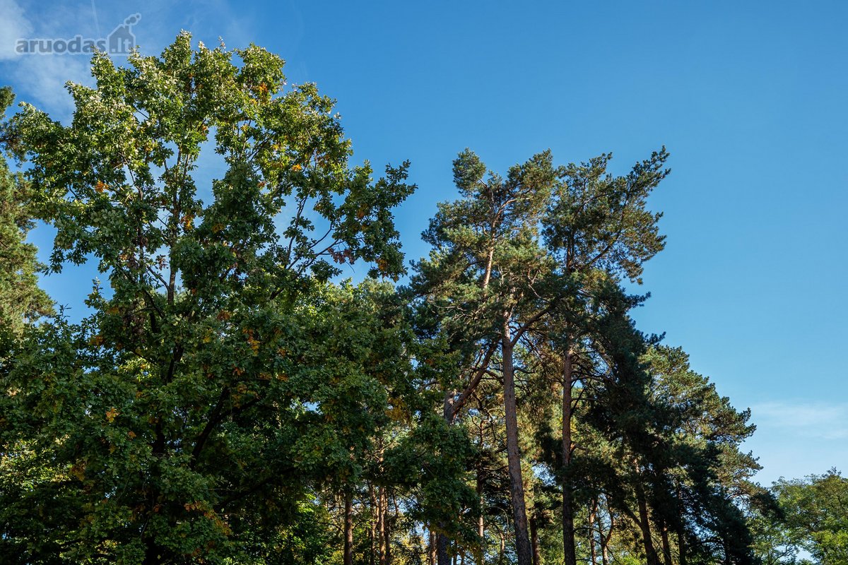 Parduodamas Jaukus 3 Kambarių Butas - nuotraukos Nr. 36