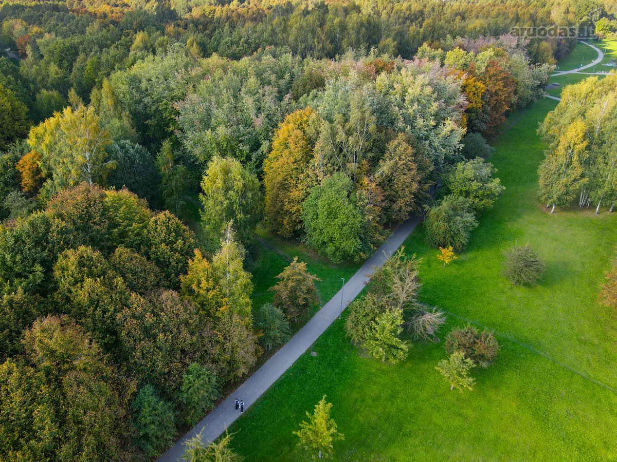 Parduodamas Ypatingai Šviesus Ir Jaukus 3 - nuotraukos Nr. 10
