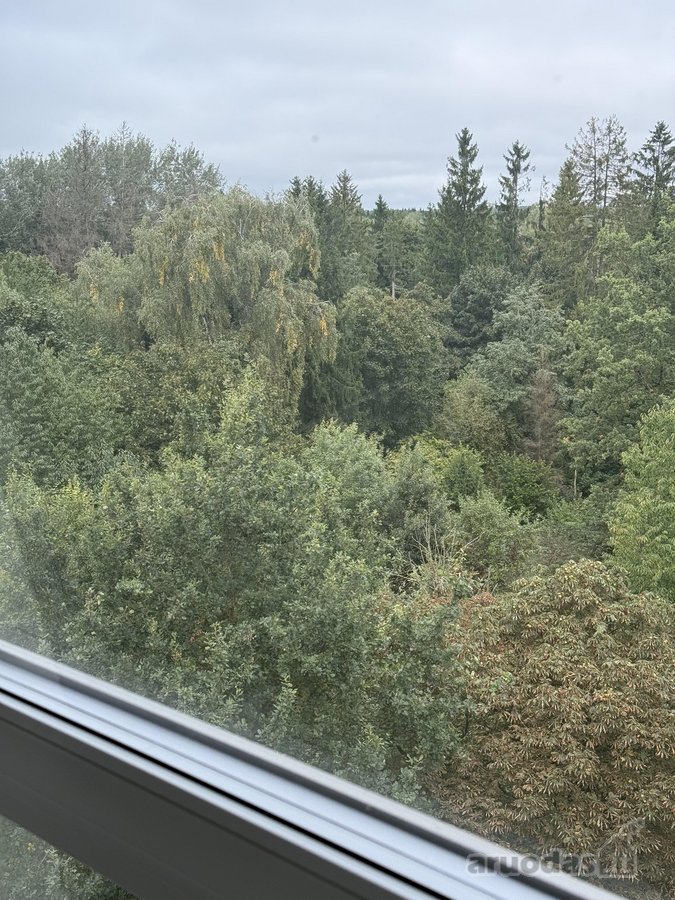Parduodamas Erdvus Neįrengtas Butas - nuotraukos Nr. 2