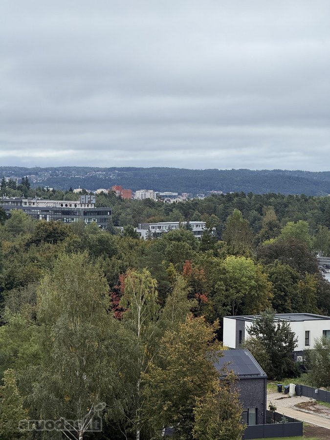 Parduodamas Erdvus Neįrengtas Butas - nuotraukos Nr. 3