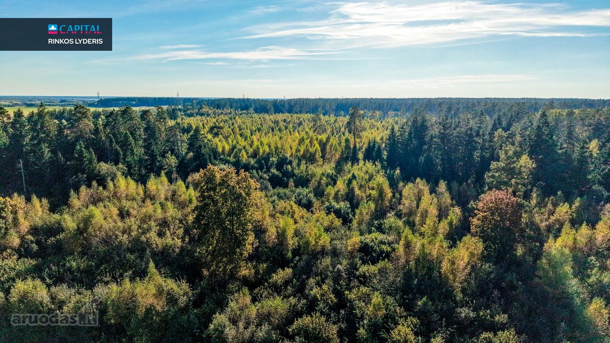 Parduodamas Žemės Sklypas Su Statybos Leidimu - nuotraukos Nr. 13