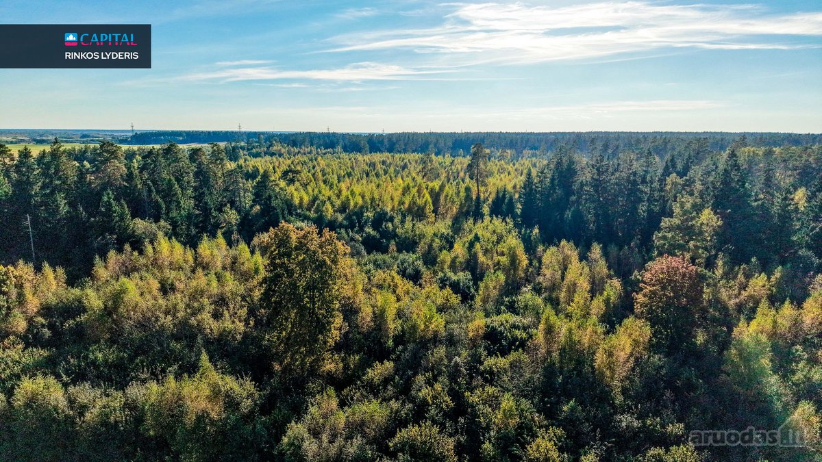 Parduodamas Žemės Sklypas Su Statybos Leidimu - nuotraukos Nr. 13