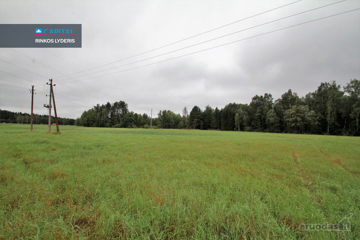 ! Miškų Apsuptyje Parduodamas 1,38 Ha - nuotraukos Nr. 10