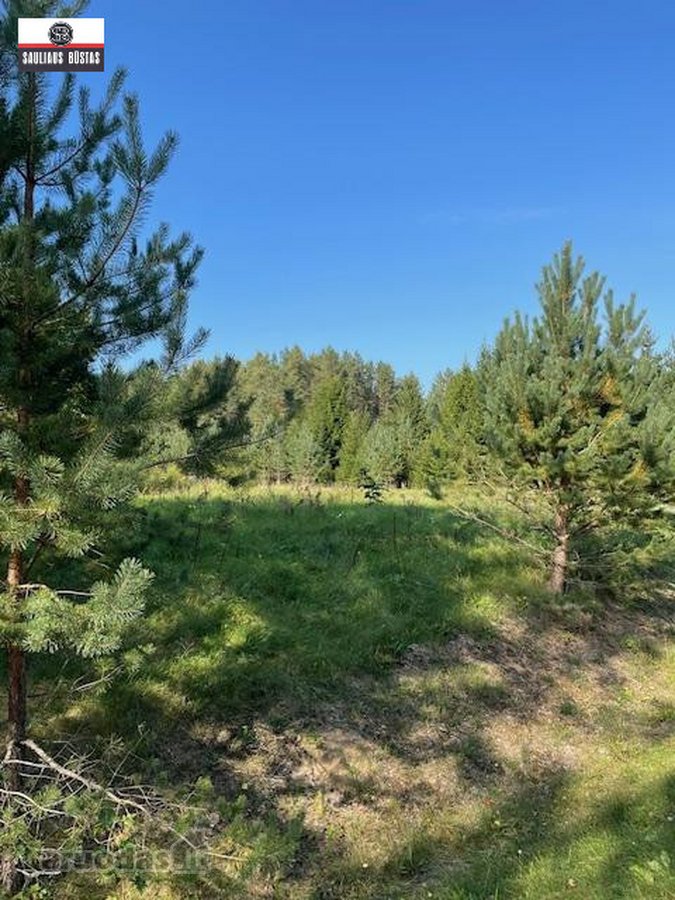 Parduodamas labai gražus žemės sklypas Utenos - nuotraukos Nr. 10