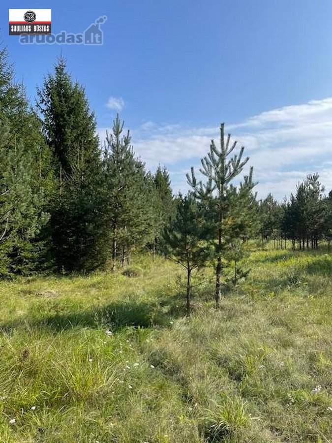 Parduodamas labai gražus žemės sklypas Utenos - nuotraukos Nr. 14