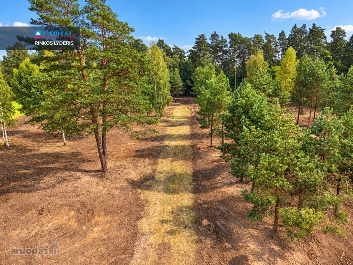 Parduodamas 8 Sklypų Masyvas Vienbučių Ir - nuotraukos Nr. 9