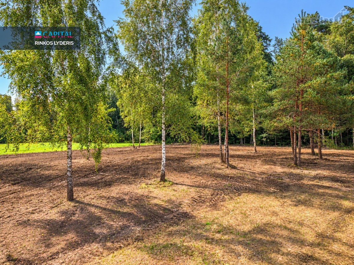 Parduodamas 8 Sklypų Masyvas Vienbučių Ir - nuotraukos Nr. 11