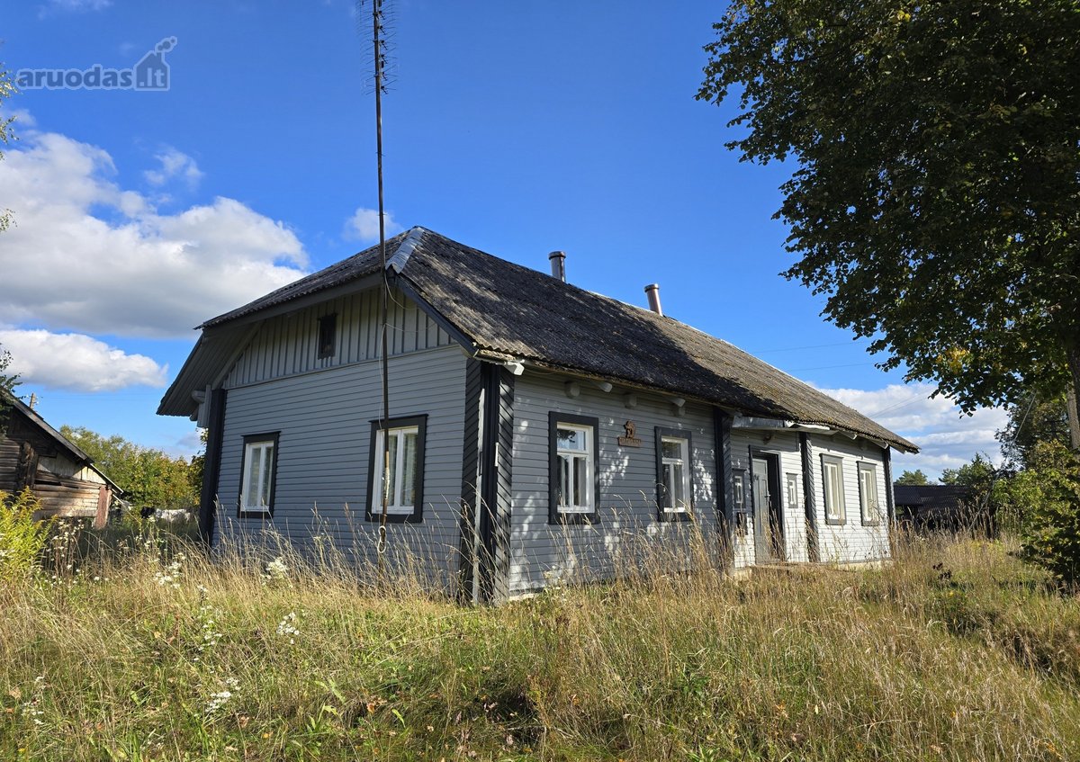 Labanoro parko prieigose, visiškai arti - nuotraukos Nr. 10