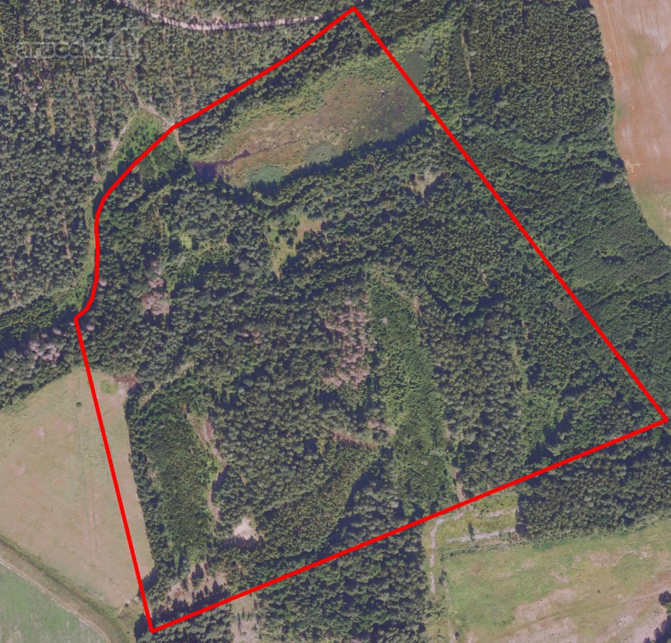  Parduodamas 22,5135 ha įvairiamžis miškas - nuotraukos Nr. 2