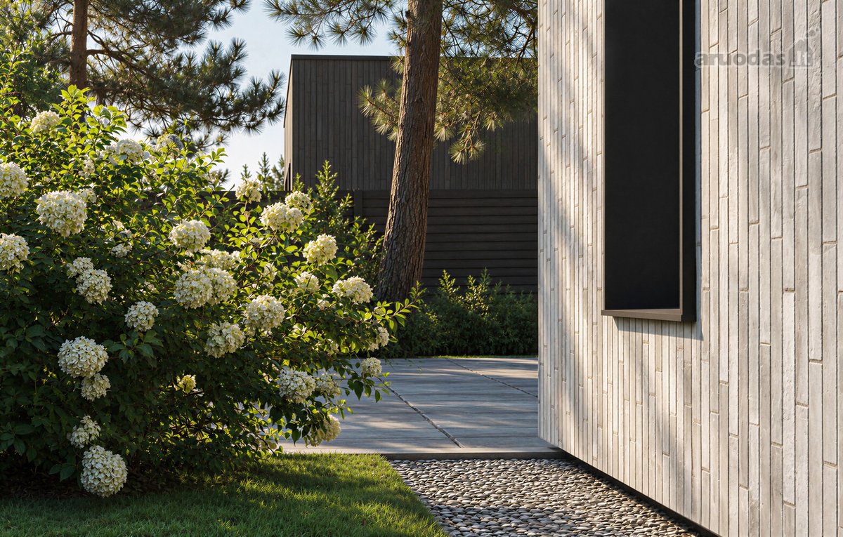 152 m² vieno aukšto namas Kalotėje – patogi - nuotraukos Nr. 5