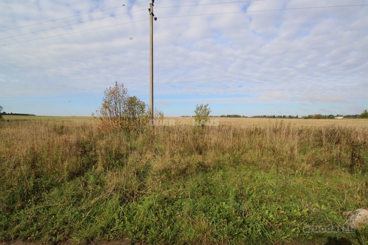 Du 0,95 ha ir 1,28 ha žemės ūkio paskirties - nuotraukos Nr. 10