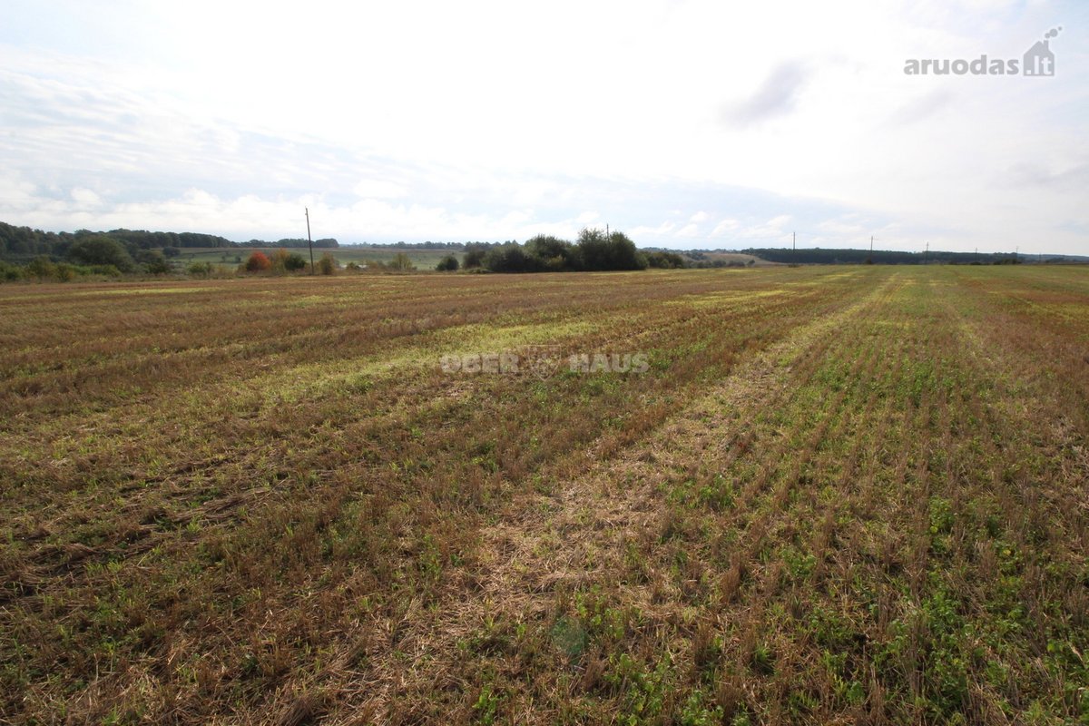 Du 0,95 ha ir 1,28 ha žemės ūkio paskirties - nuotraukos Nr. 12