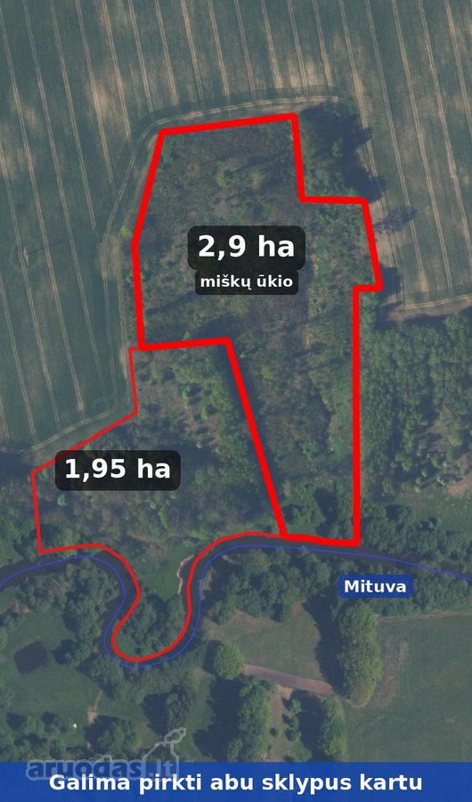  Parduodamas 1,95 ha sklypas prie Mituvos upės  - nuotraukos Nr. 4