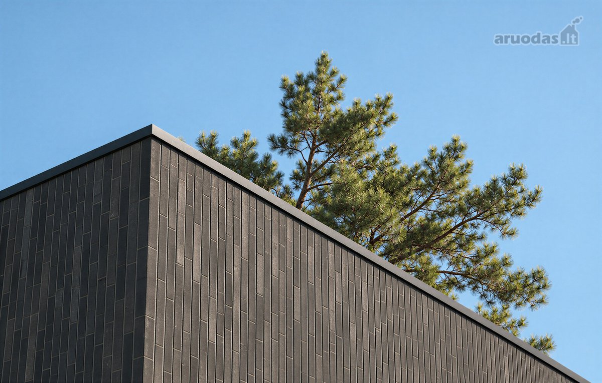 167 m² namas su 7 arų sklypu – daugiau vietos - nuotraukos Nr. 3