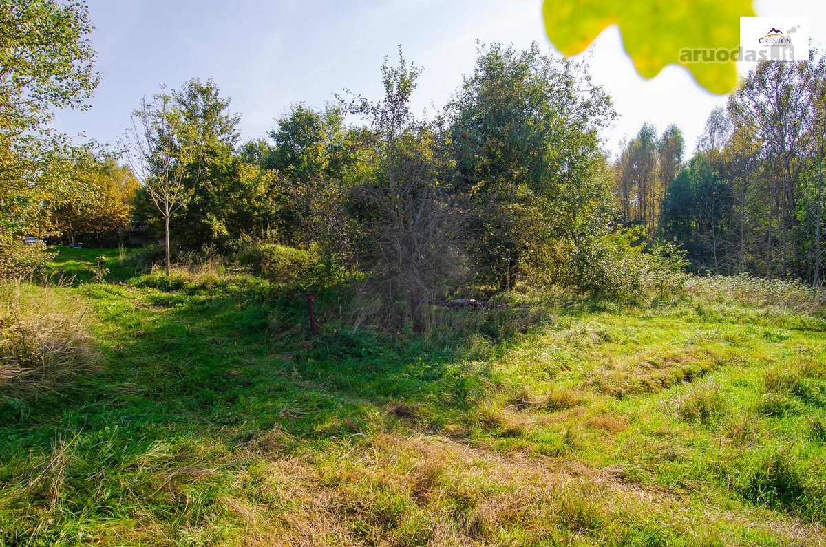 Išskirtinė Sodyba Ramybės Oazėje Vilniaus R., - nuotraukos Nr. 9