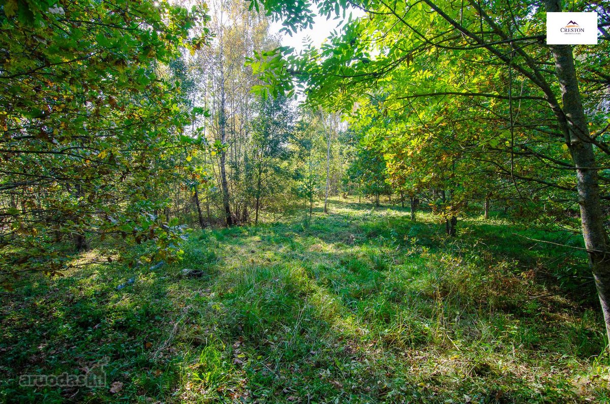 Išskirtinė Sodyba Ramybės Oazėje Vilniaus R., - nuotraukos Nr. 11