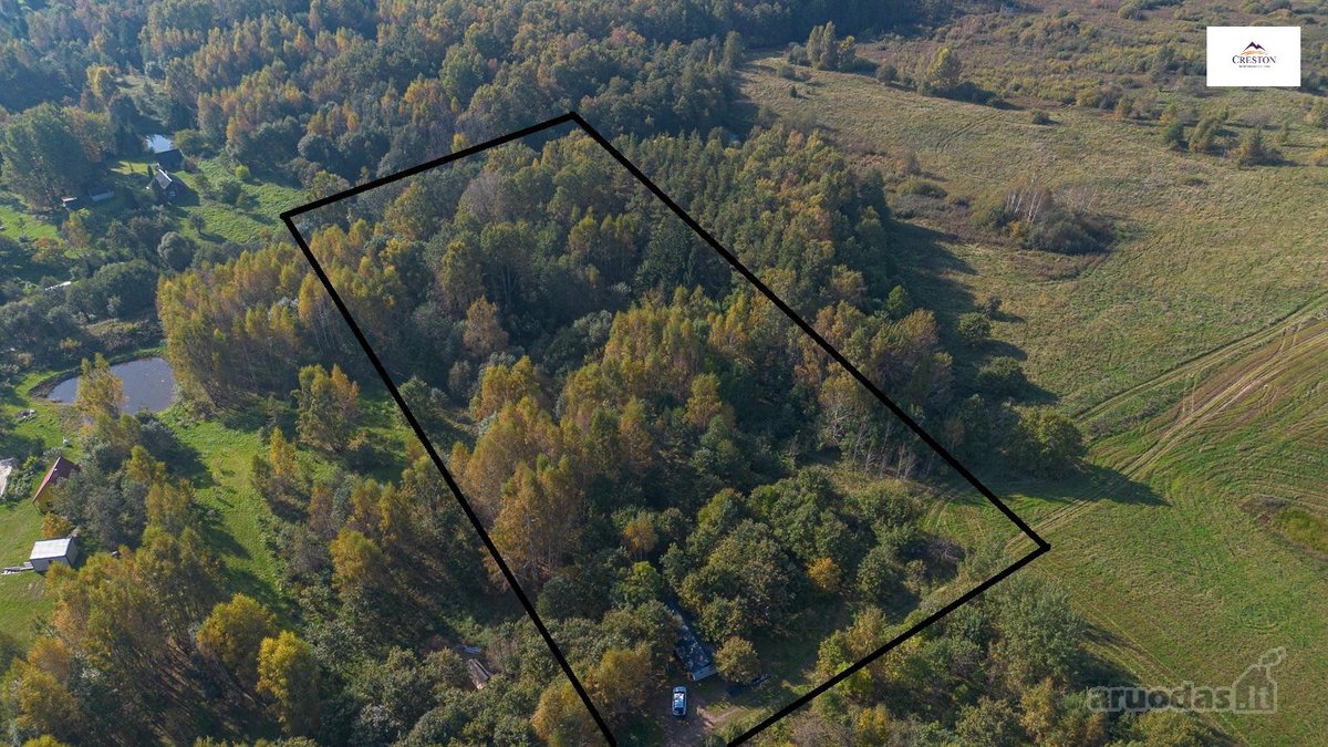 Išskirtinė Sodyba Ramybės Oazėje Vilniaus R., - nuotraukos Nr. 16