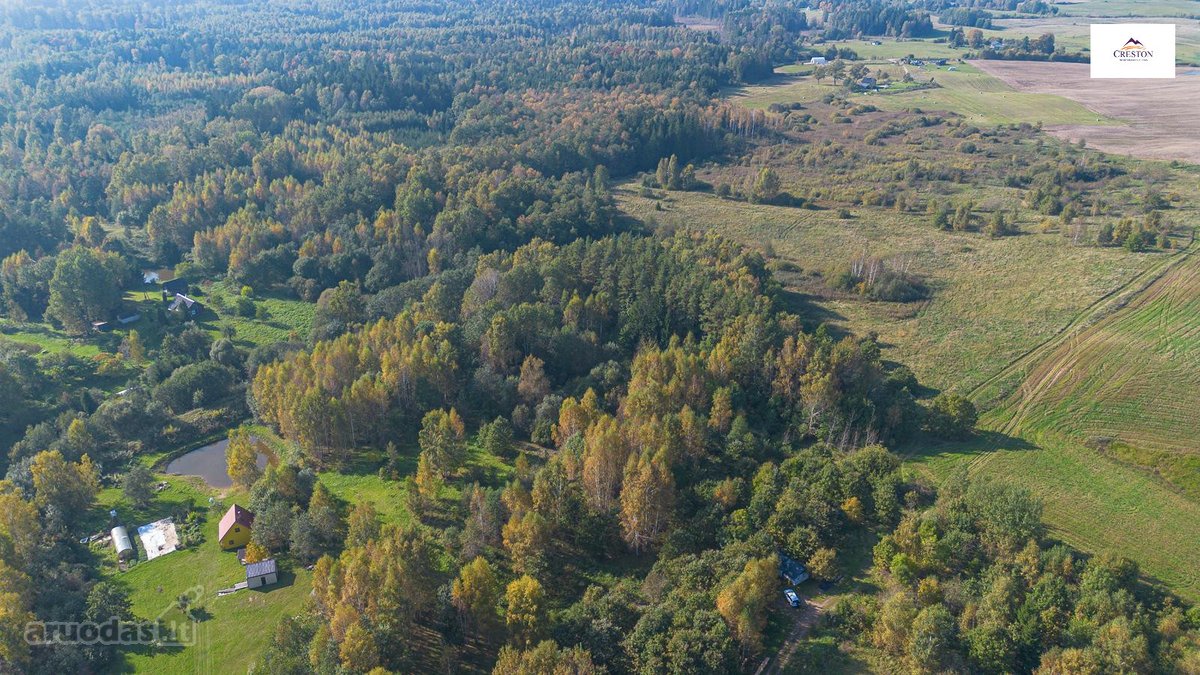 Išskirtinė Sodyba Ramybės Oazėje Vilniaus R., - nuotraukos Nr. 20