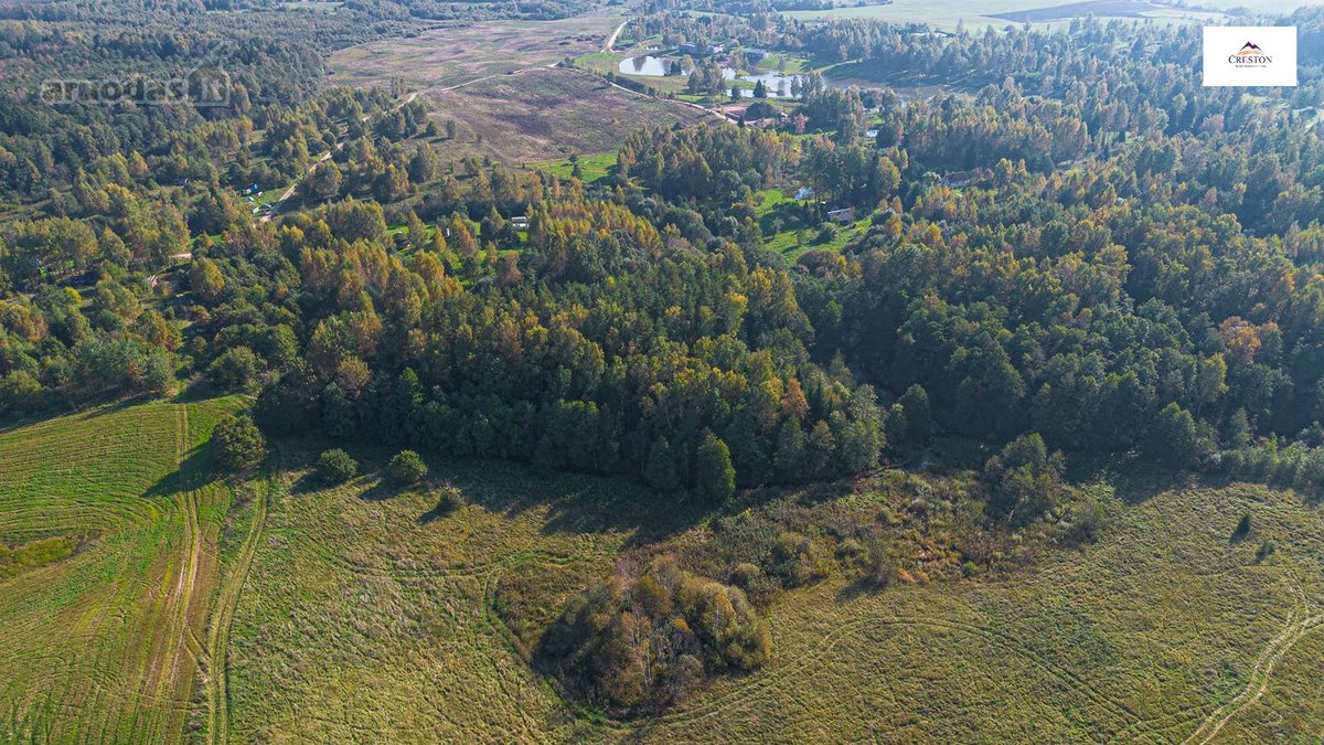 Išskirtinė Sodyba Ramybės Oazėje Vilniaus R., - nuotraukos Nr. 22