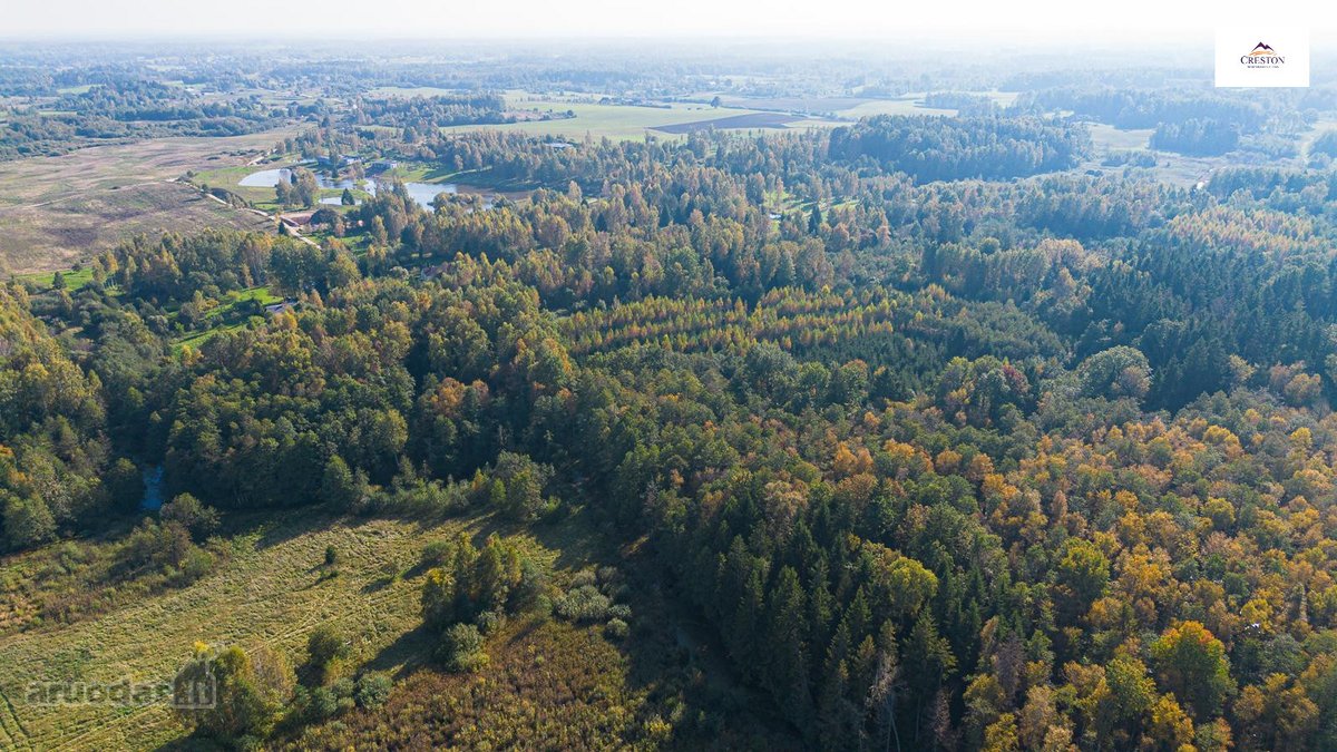 Išskirtinė Sodyba Ramybės Oazėje Vilniaus R., - nuotraukos Nr. 25
