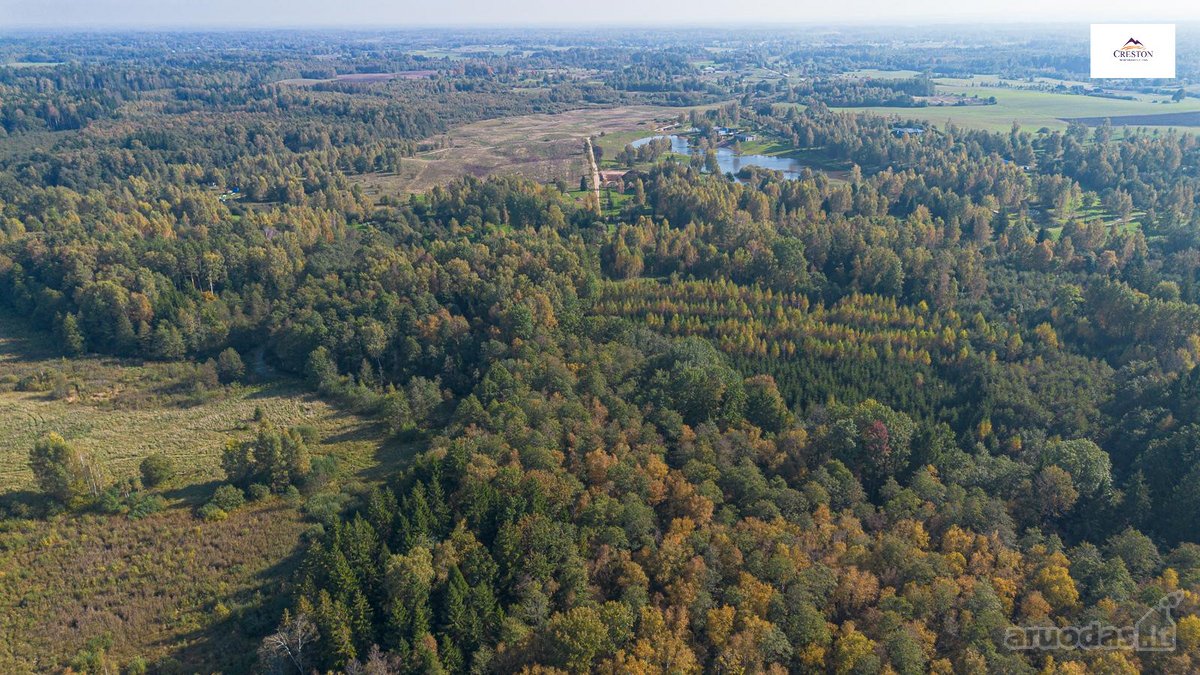 Išskirtinė Sodyba Ramybės Oazėje Vilniaus R., - nuotraukos Nr. 26