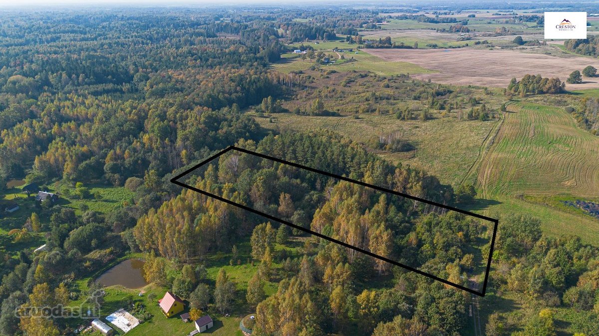Išskirtinė Sodyba Ramybės Oazėje Vilniaus R., - nuotraukos Nr. 19
