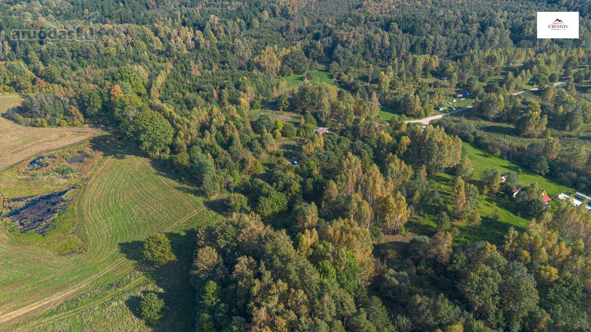 Išskirtinė Sodyba Ramybės Oazėje Vilniaus R., - nuotraukos Nr. 30