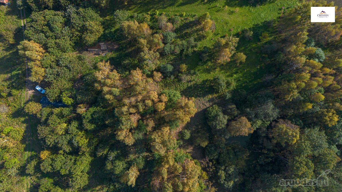 Išskirtinė Sodyba Ramybės Oazėje Vilniaus R., - nuotraukos Nr. 31