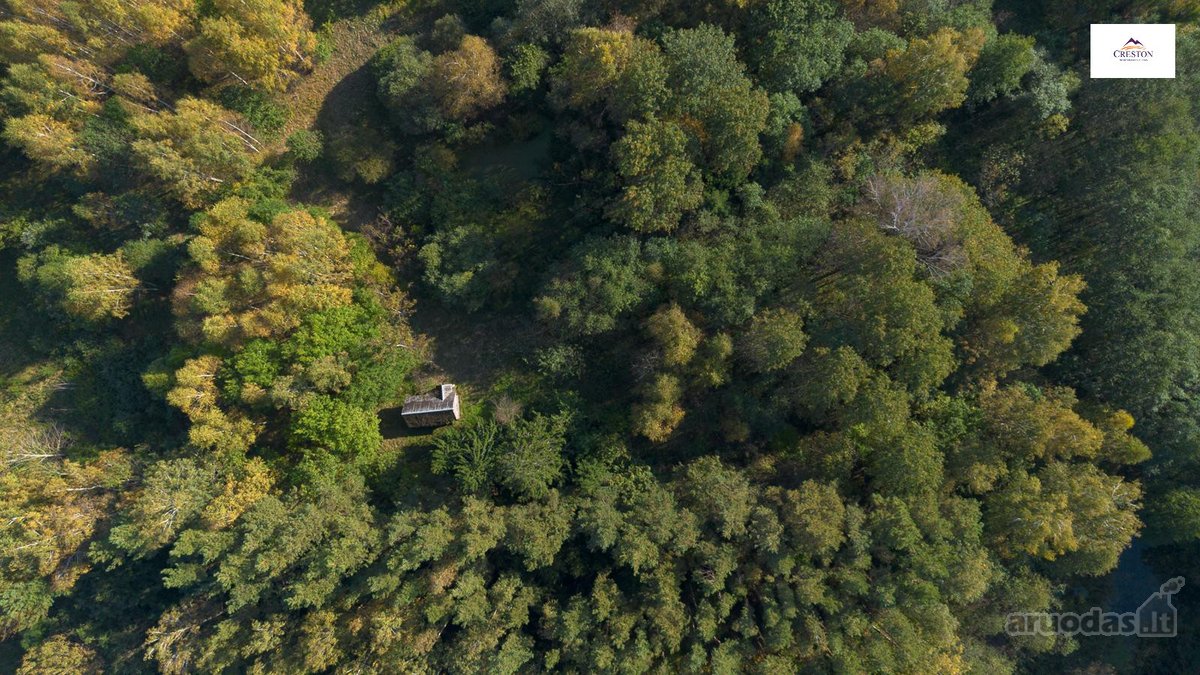Išskirtinė Sodyba Ramybės Oazėje Vilniaus R., - nuotraukos Nr. 32