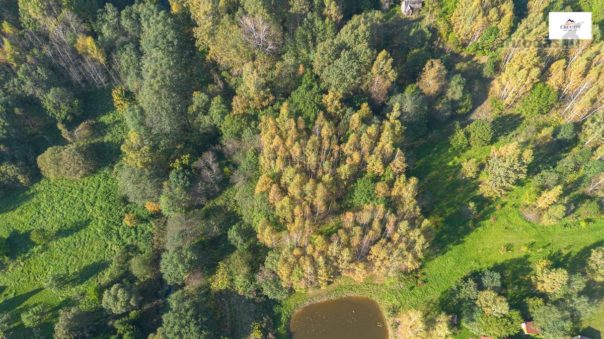 Išskirtinė Sodyba Ramybės Oazėje Vilniaus R., - nuotraukos Nr. 35