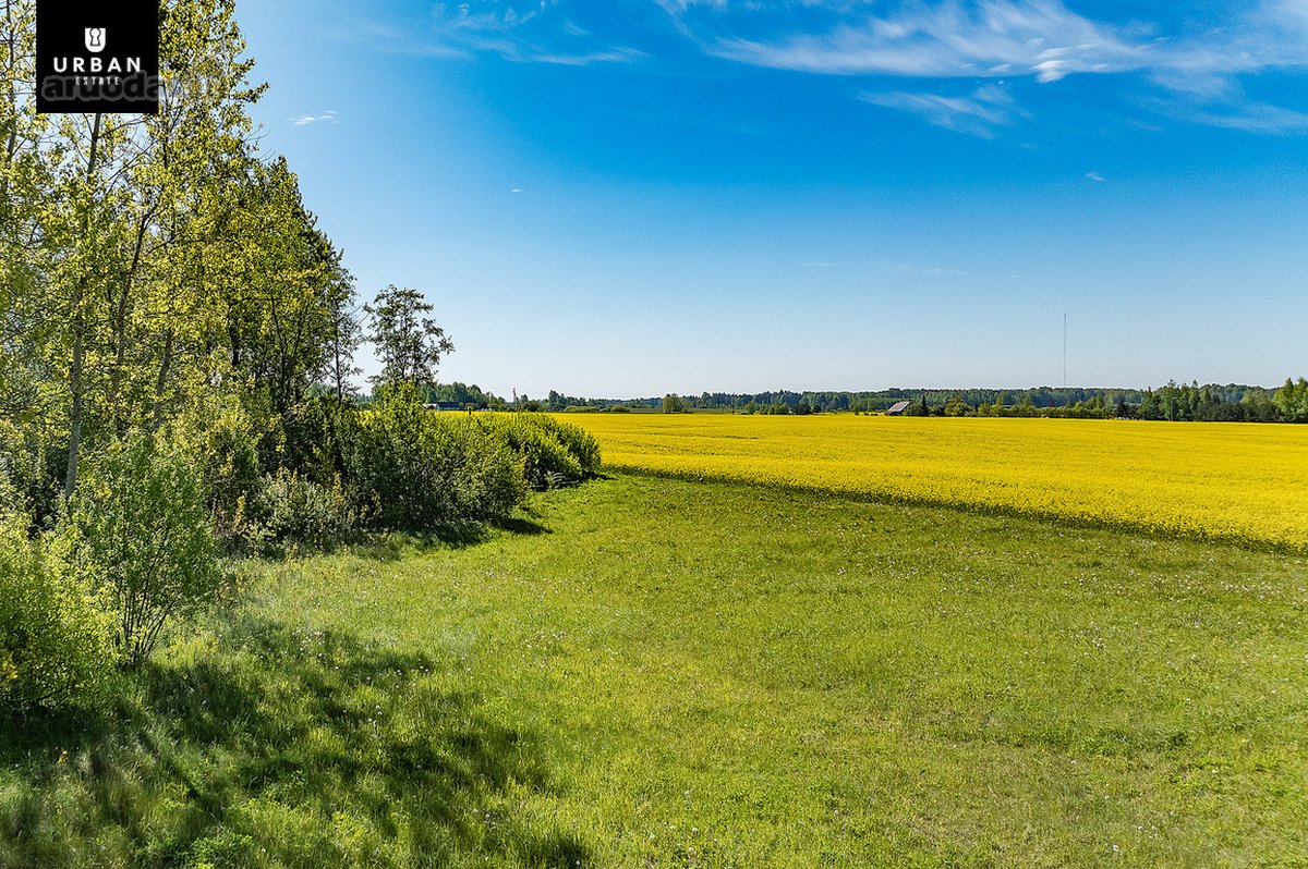 Žemės ūkio paskirties sklypas Širvintų rajone - nuotraukos Nr. 4