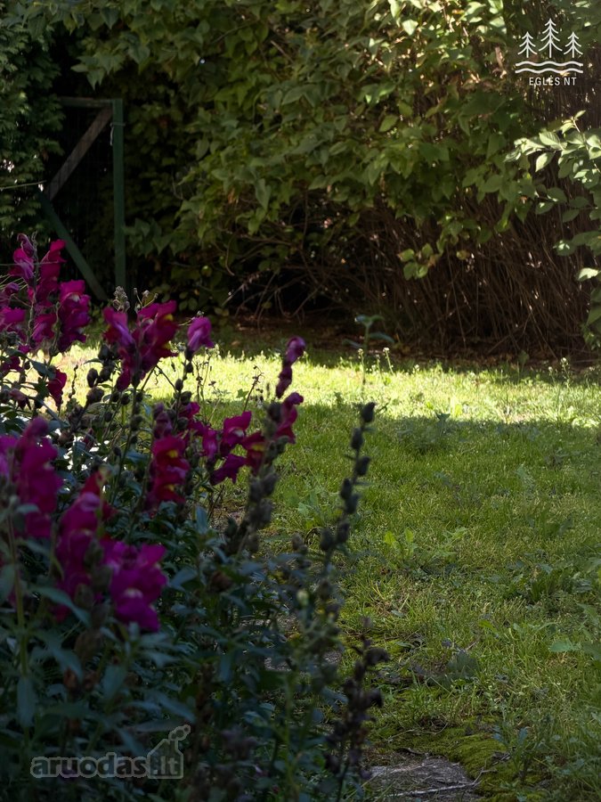 Parduodamas Namas Su Erdviu 31,75 A Sklypu - nuotraukos Nr. 7