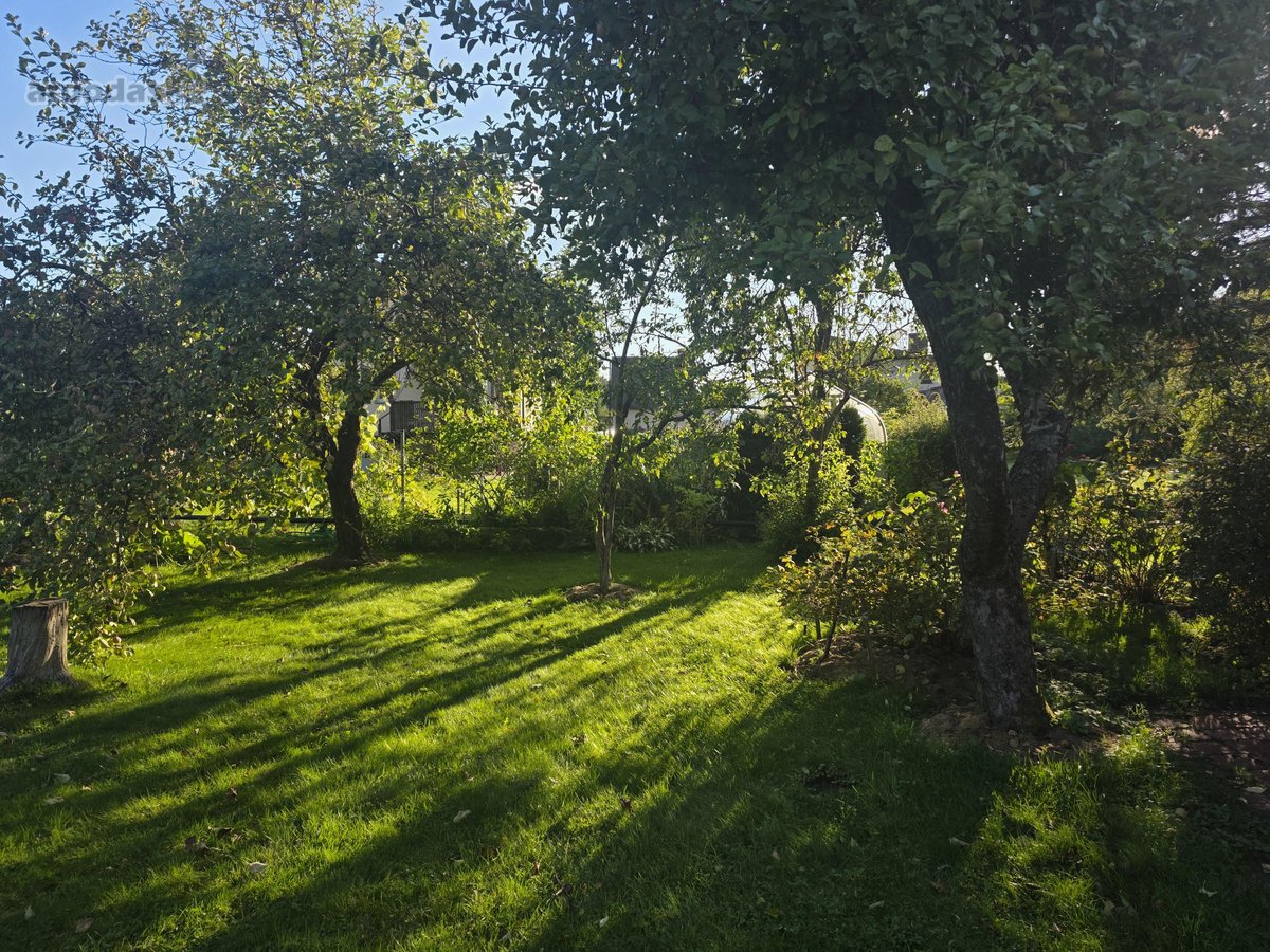 Jonavos r. sav., Pašilių k. - nuotraukos Nr. 23