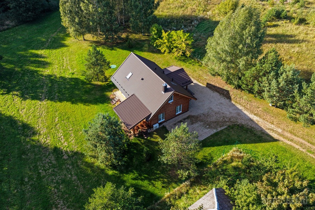 Ant smėlėtos Srovės upės kranto, gražiausių - nuotraukos Nr. 6
