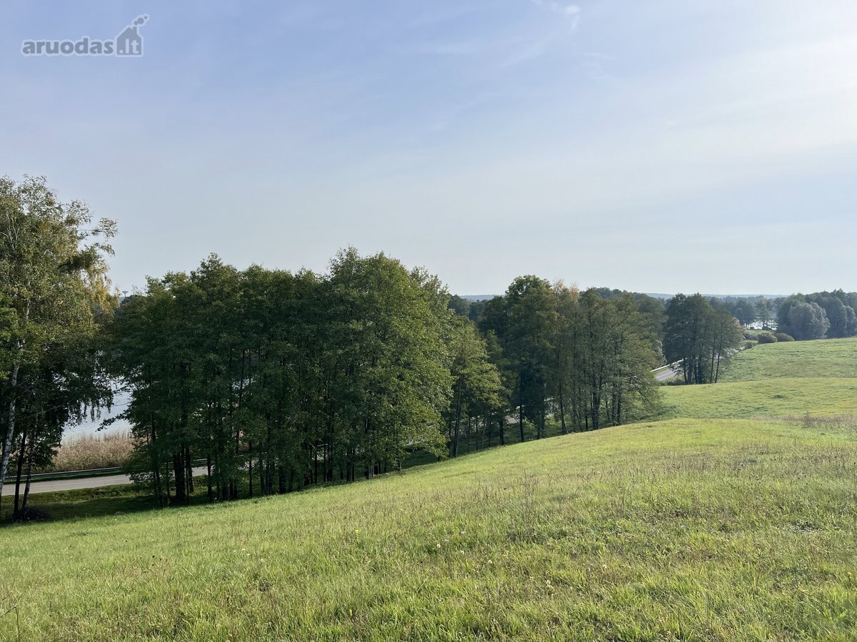 Parduodamas 65.37 arų namų valdos sklypas - nuotraukos Nr. 3