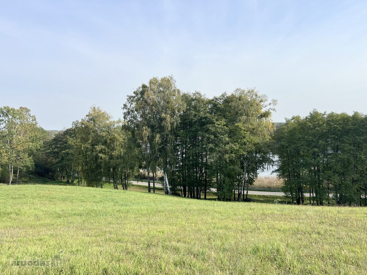 Parduodamas 65.37 arų namų valdos sklypas - nuotraukos Nr. 4