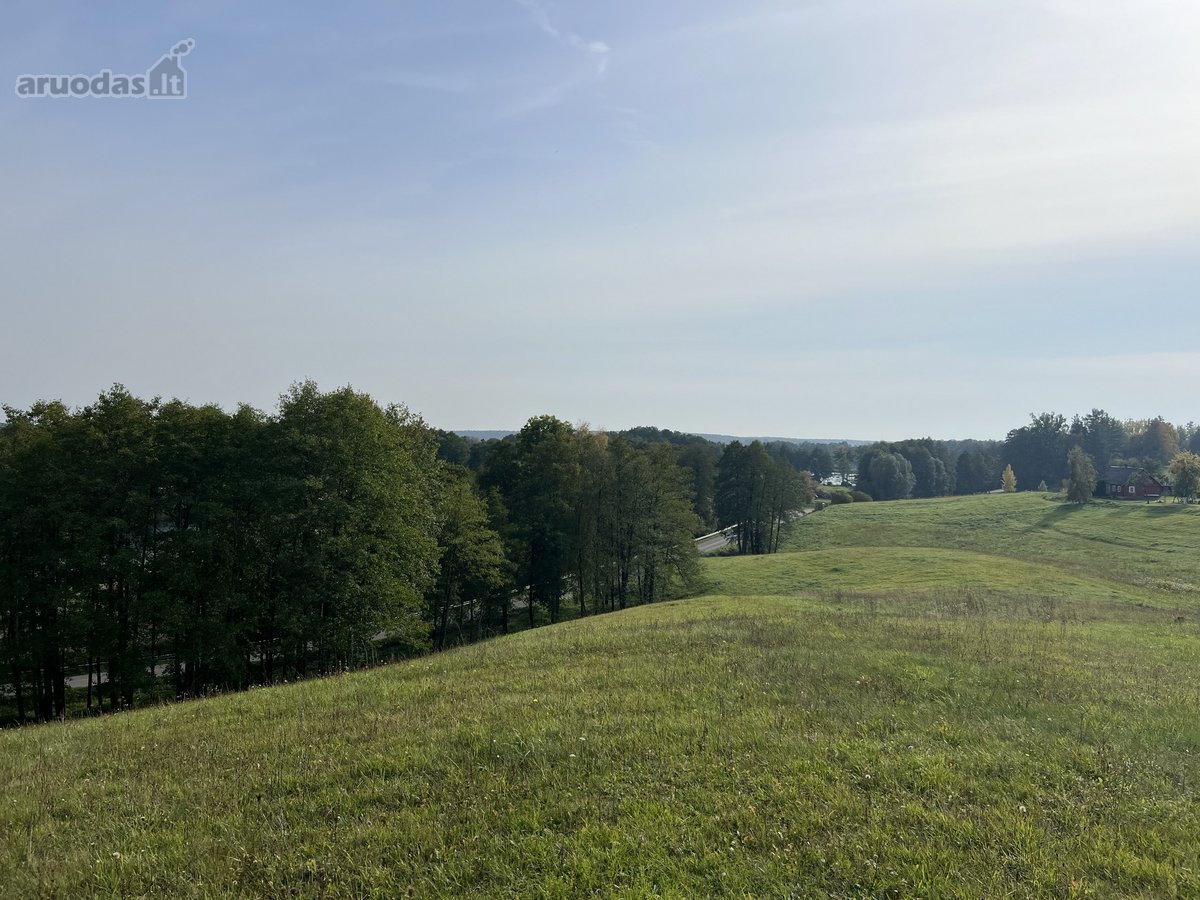Parduodamas 65.37 arų namų valdos sklypas - nuotraukos Nr. 6