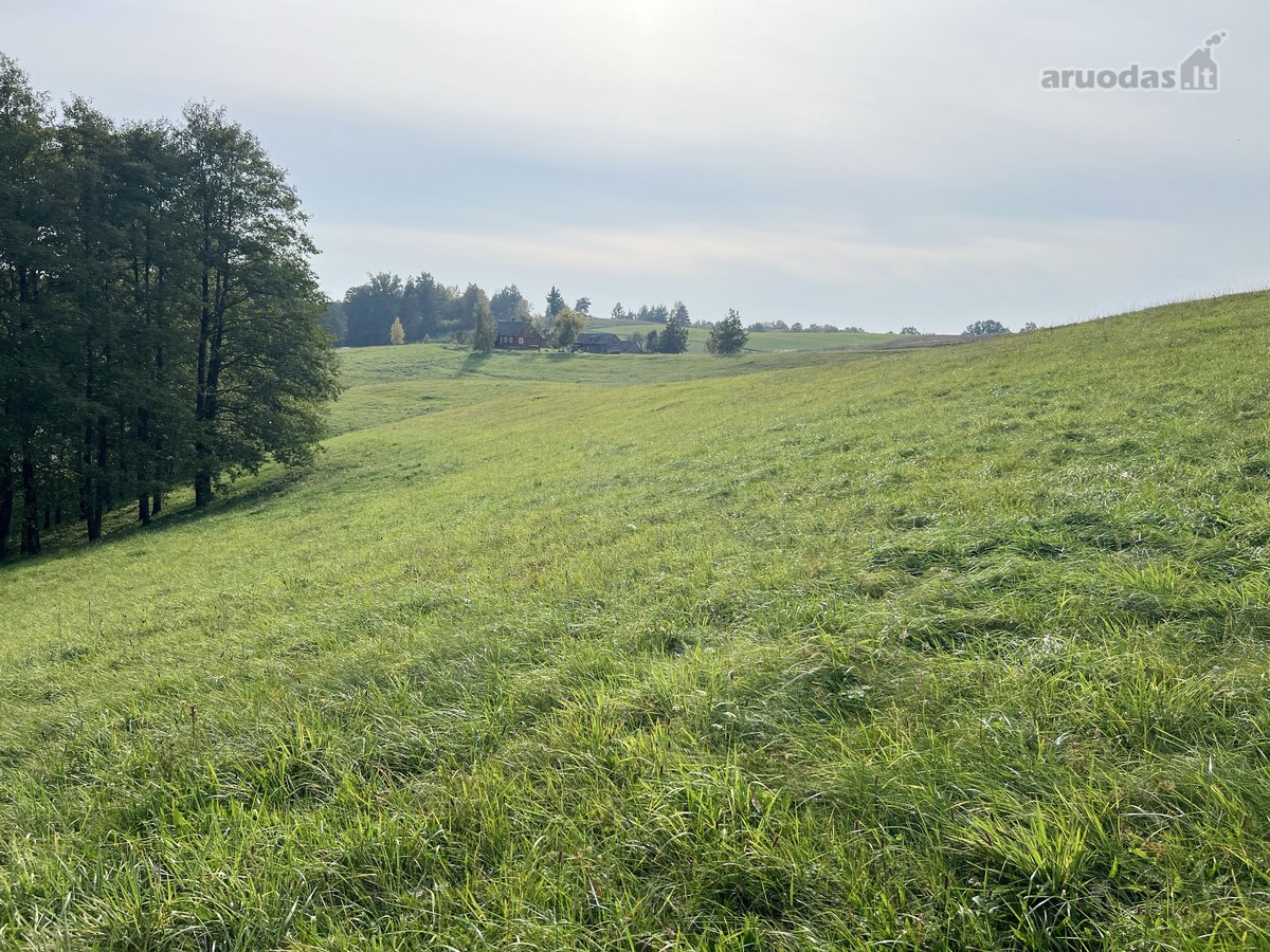 Parduodamas 65.37 arų namų valdos sklypas - nuotraukos Nr. 7