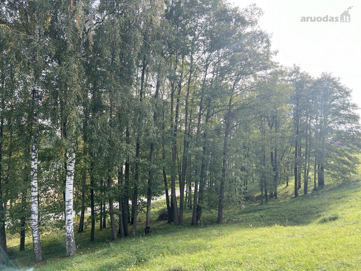 Parduodamas 65.37 arų namų valdos sklypas - nuotraukos Nr. 8