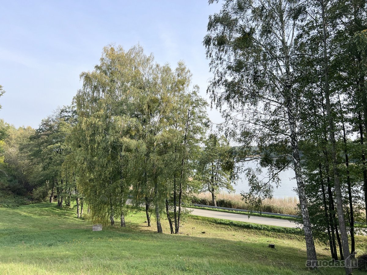 Parduodamas 65.37 arų namų valdos sklypas - nuotraukos Nr. 9