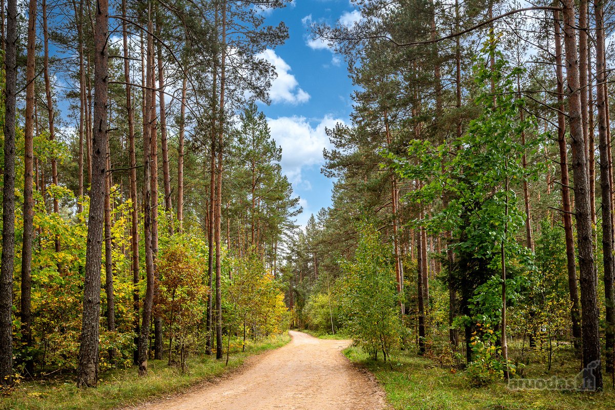 Vilniaus Raj. Marijampolio Sen. Terešiškių K. - nuotraukos Nr. 33