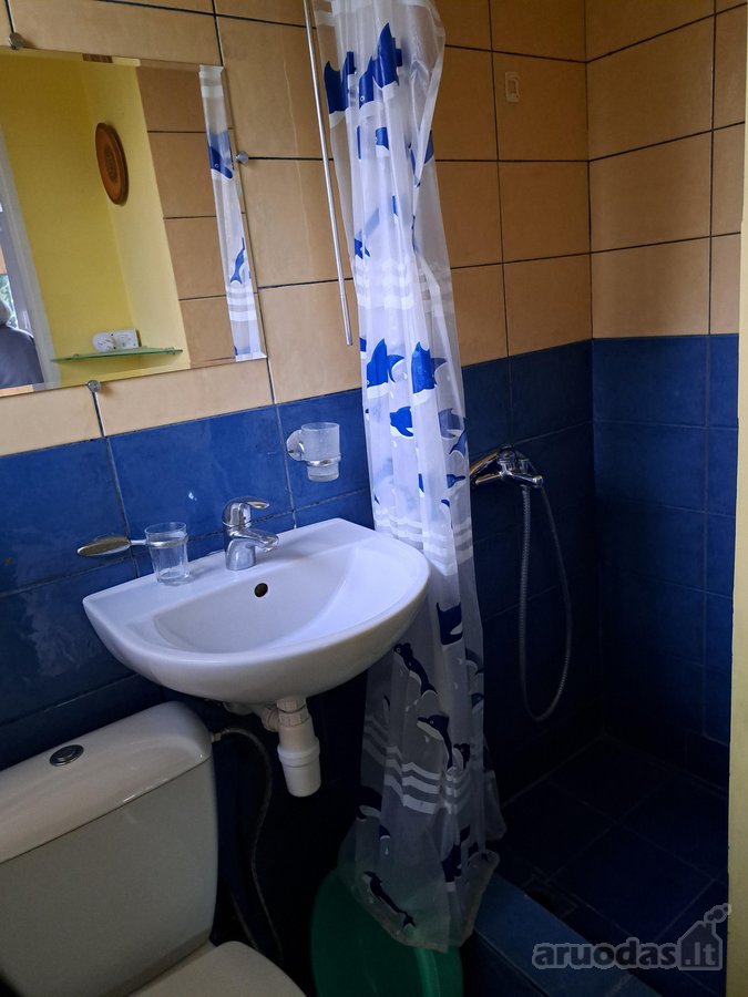Nuomojamas jaukus butas Kaune, Panemunėje – - nuotraukos Nr. 3