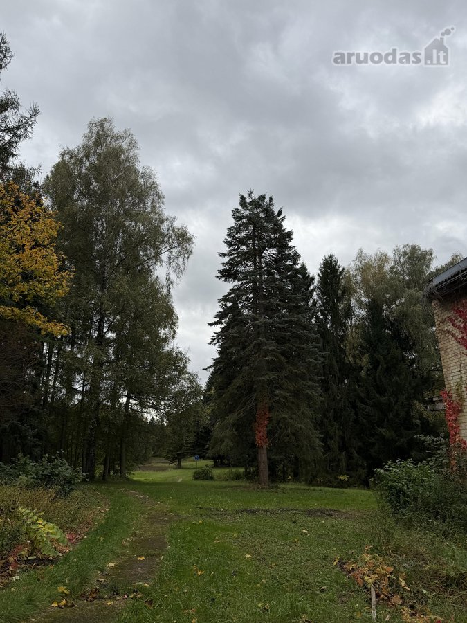 Parduodamas Namas Išskirtinėje Vietoje - - nuotraukos Nr. 10