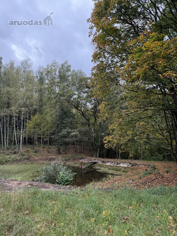 Parduodamas Namas Išskirtinėje Vietoje - - nuotraukos Nr. 12