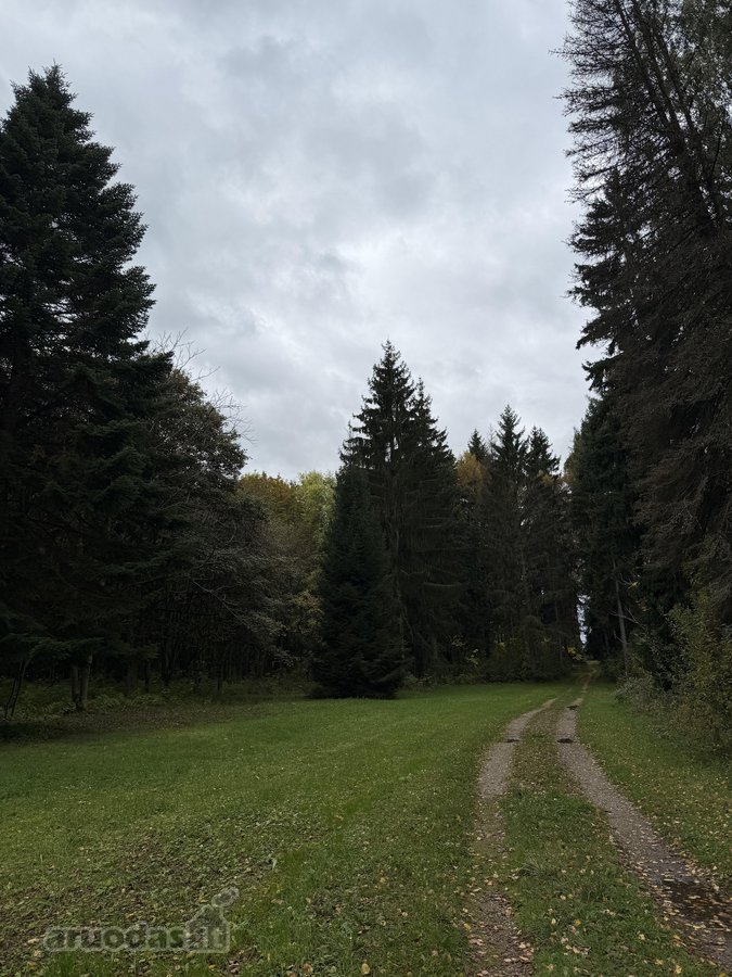 Parduodamas Namas Išskirtinėje Vietoje - - nuotraukos Nr. 15