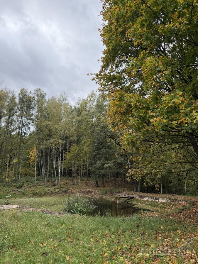 Parduodamas Namas Išskirtinėje Vietoje - - nuotraukos Nr. 16
